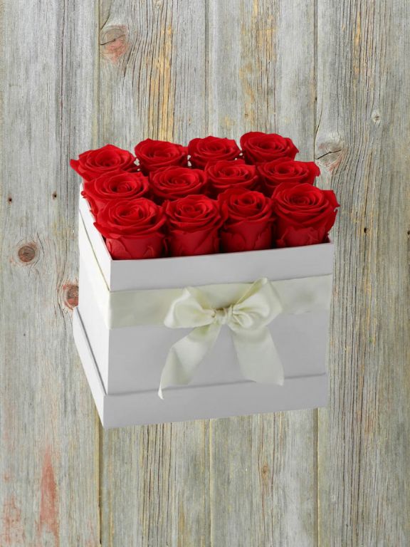 12 PRESERVED RED ROSE BLOOMS IN A BOX